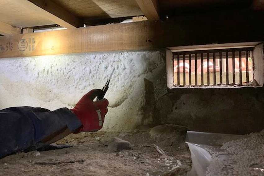 床下基礎に生えたカビ
