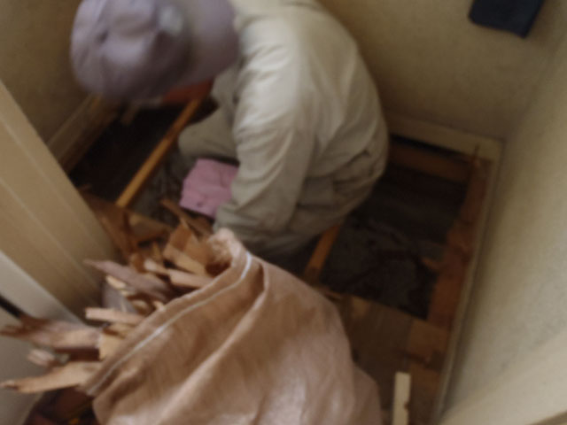 床の解体