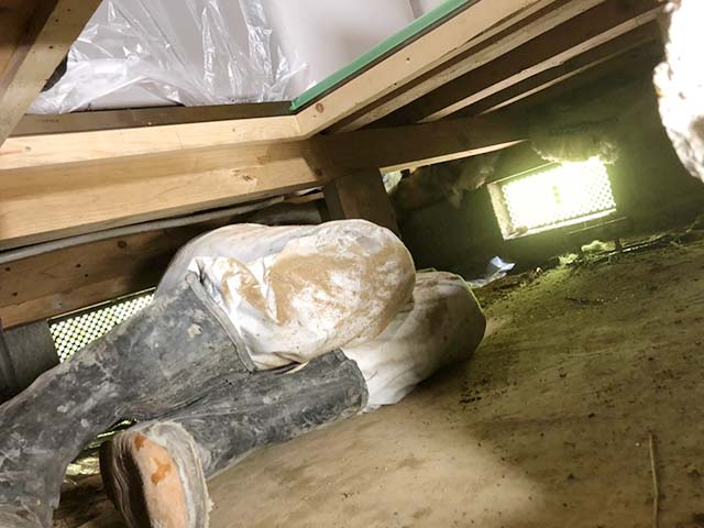 床下の作業スタッフ