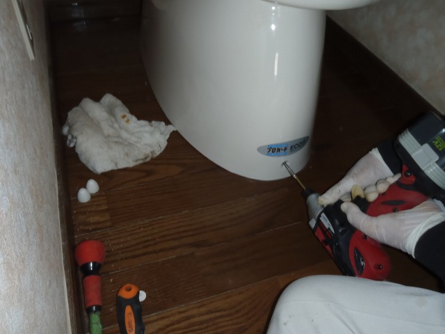 新規トイレを取り付け