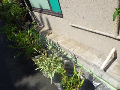 施工前の基礎
