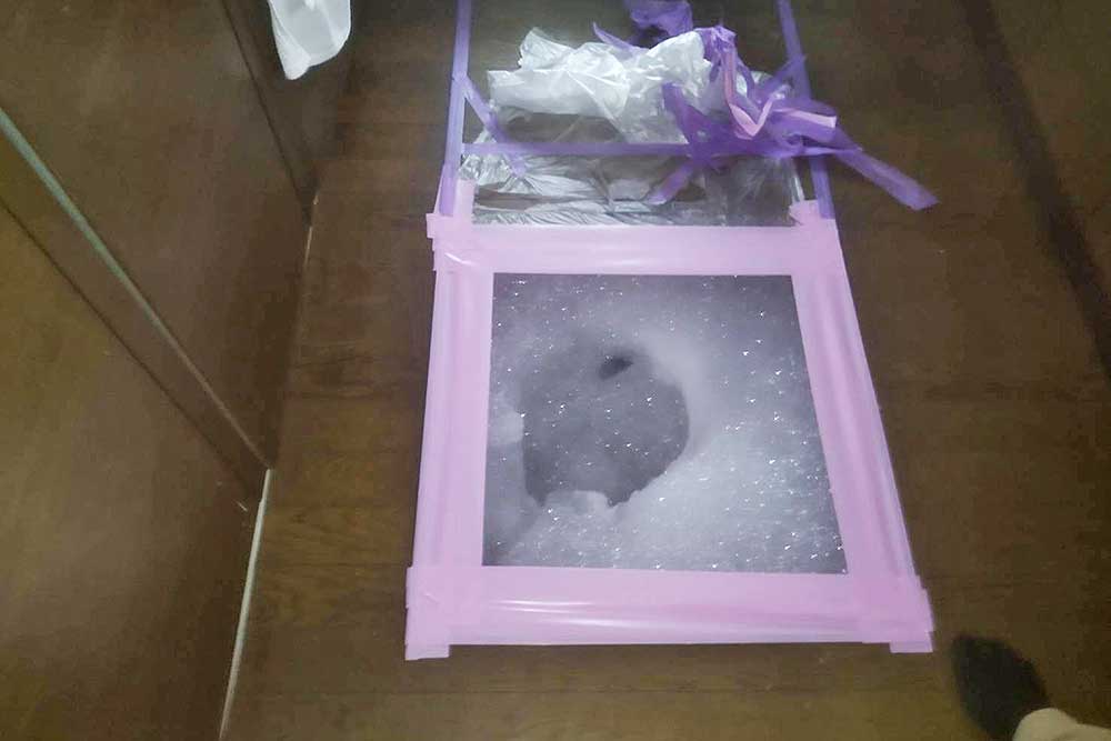 施工中の床下発泡消毒