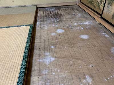 施工前の床