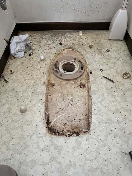 既存のトイレ取り外し