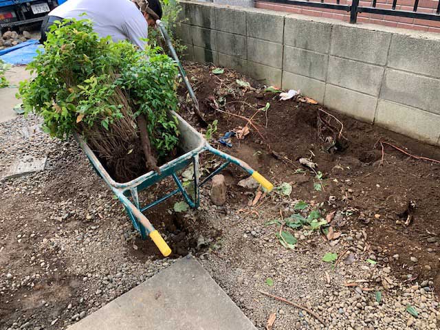 植え込みの伐採・撤去