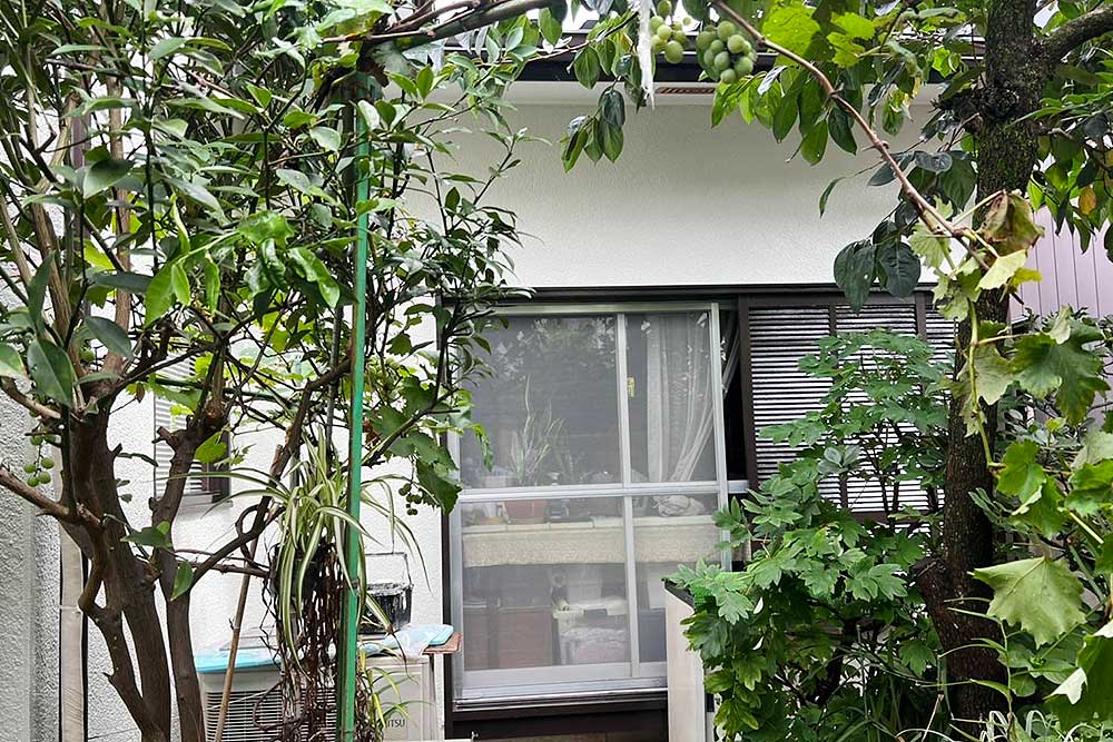 塗装後の外壁