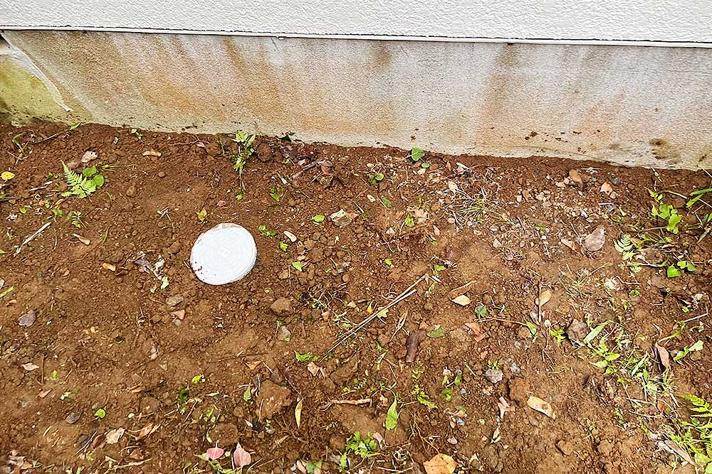 交換後の排水桝