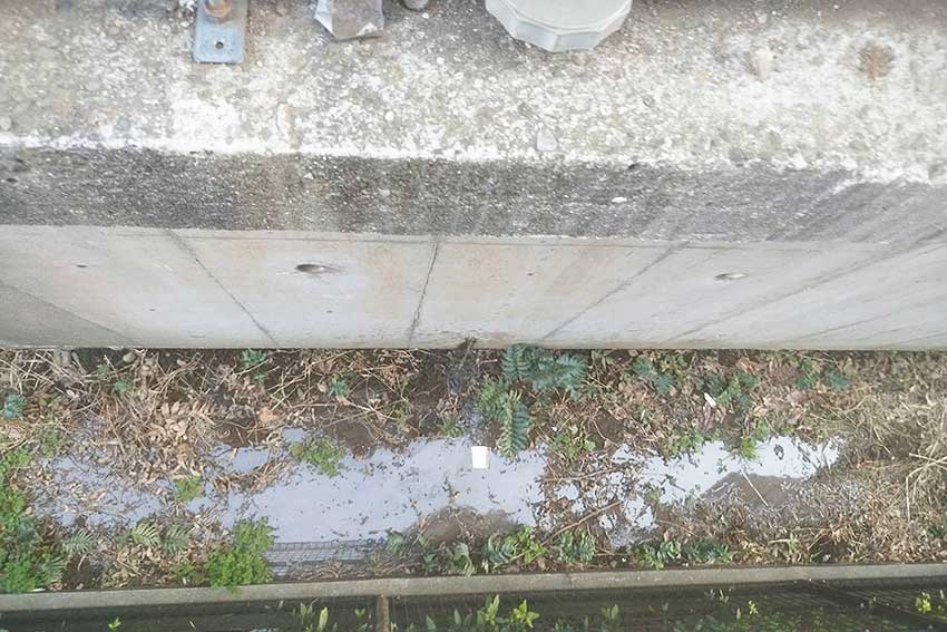 擁壁からの水漏れで濡れてしまった地面
