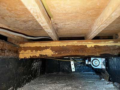 施工前の床下木部
