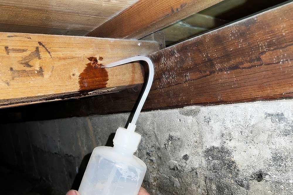 施工中の床下木部消毒