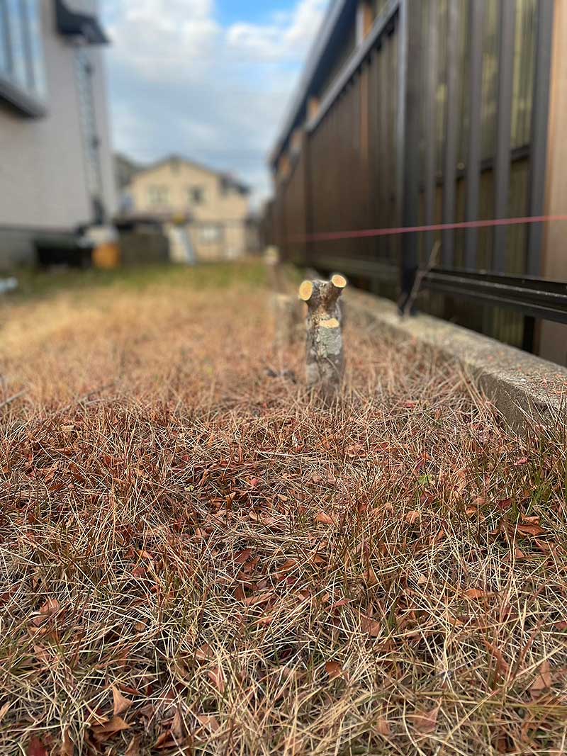 水平に張った糸