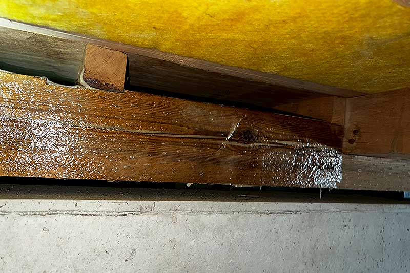 施工前の床下木部にタフロンウッド塗布