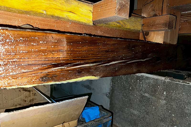 施工前の床下木部にタフロンウッド塗布