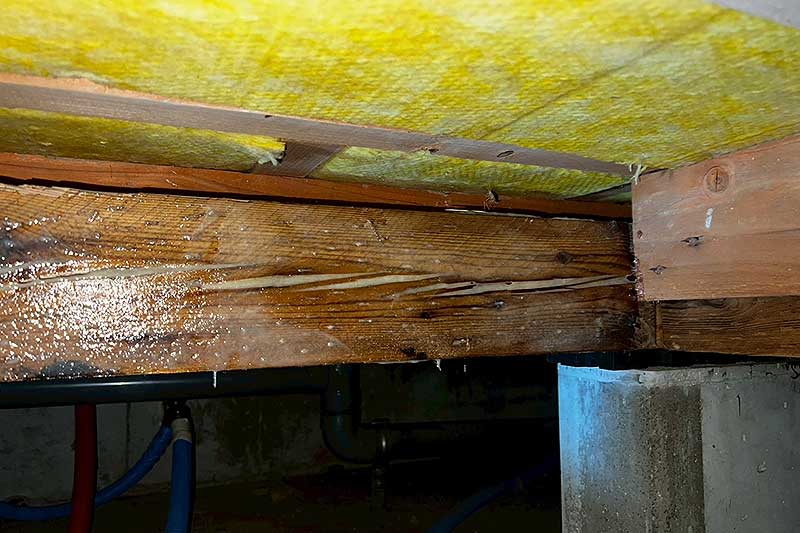 施工前の床下木部にタフロンウッド塗布