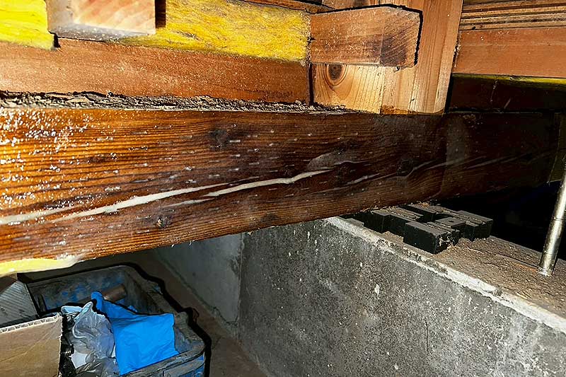 施工前の床下木部にタフロンウッド塗布