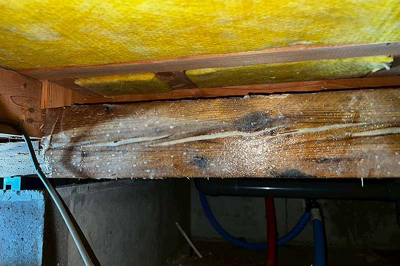 施工前の床下木部にタフロンウッド塗布