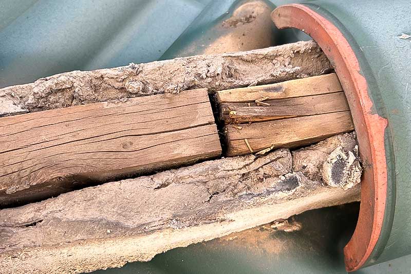 既存の劣化した垂木