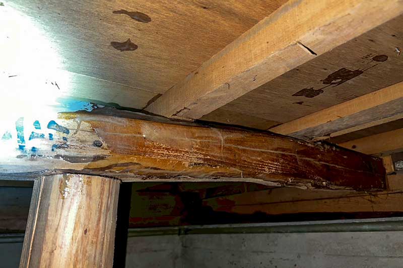 施工前の床下木部にタフロンウッド塗布