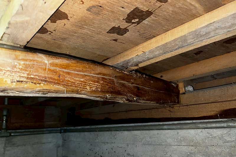 施工前の床下木部にタフロンウッド塗布