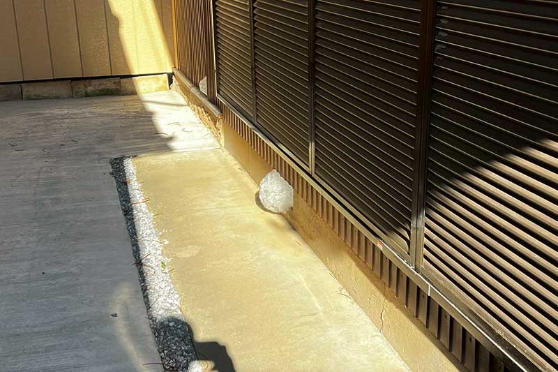 シロアリ発泡消毒