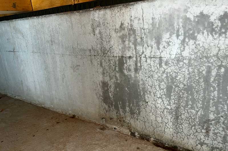 施工前の床下の基礎