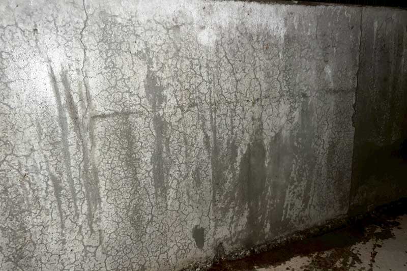 施工前の床下の基礎