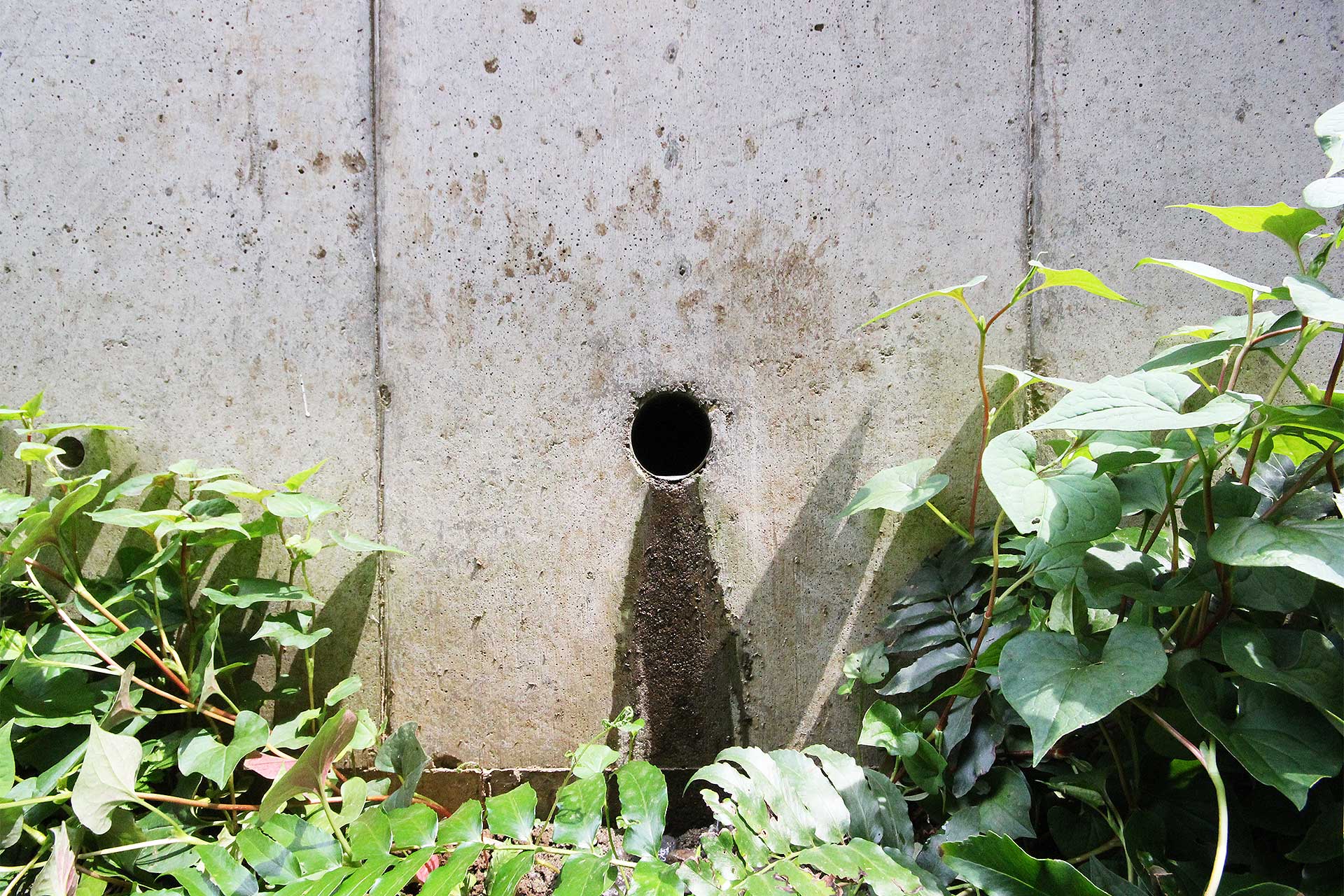 擁壁からの水漏れ